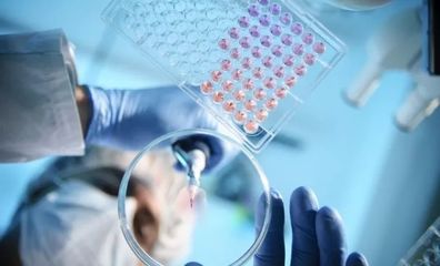 連接中日創投的橋梁 專訪36Kr Japan CEO中島嘉一談生物科技研究開發