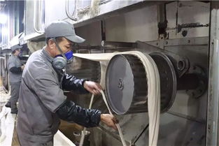 創(chuàng)新驅動，綠色賦能——阿拉爾中泰紡織科技公司毛型纖維新產品成功下線