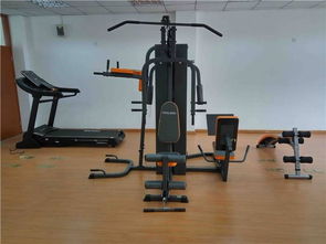 從家庭到單位 全面解析各類健身器材的選擇與應用