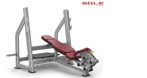 重慶桑拿房與健身器材選購(gòu)指南 維爾健身器材等優(yōu)質(zhì)商家推薦